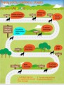 InfoGraphic about puppy readiness stages for potty training