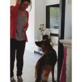 Dog behaviour therapy behind the scenes: chasing the cat and dog-dog aggression