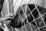 Binding en honden: het nieuwste Doggo artikel is uit